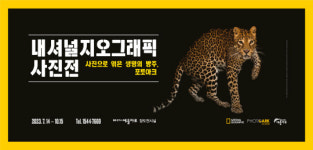 여수 예울마루 내셔널지오그래픽사진展개최