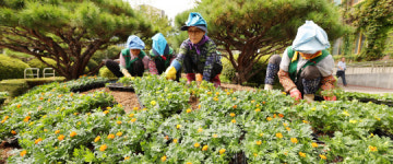 남도일보 사진뉴스