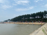 함평군, 명품 돌머리 해수욕장 준비 척척