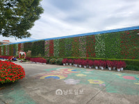 5만 4천본 꽃과 함께 가을 향기 가득 담아가세요~