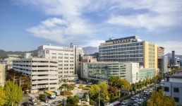 전남대병원장 공모에 김윤하·안영근·이신석·정신 교수 등 4명 접수…현 병원장 연임 도전