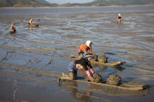 보성 벌교서 꼬막과 함께 낭만적인 가을여행 즐겨요