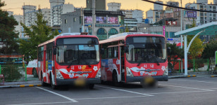 광양시 노인 무료 버스 탑승 시행 효과 톡톡