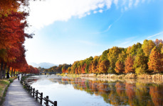 담양은 지금 체류형 관광도시로 체질 개선중