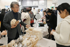 광주 서구, 설맞이 전통시장 활성화 총력