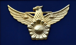 목포경찰, 요양병원서 80대 치매 환자 폭행 의혹 조사