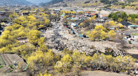 완연한 봄 기운에 광주·전남 나들이객 북적