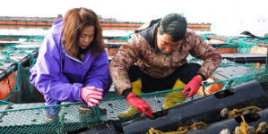 [남도일보 기획]광주·전남 여성 벤처기업-⑦해조류 전문가공 완도맘 영어조합법인