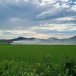 무안 태산영농조합법인, 제1회 가루쌀 경진대회 우수상