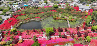 울긋불긋 꽃 대궐