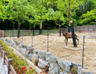 광주 우치동물원, 새단장 사슴사 재개장…철조망 없애고 함정 설치