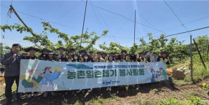 전력거래소, 반디봉사단 농번기 맞이 배 열매솎기 일손돕기 참여