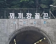꾀·끼·깡·꼴·끈 부산 번영로 터널 위에 등장한 황당 문구는?