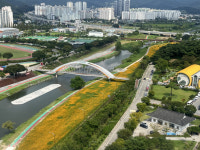 화순군, 화순천 꽃강길 코스모스 만개