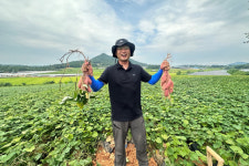 [사람&스토리]류인규 영암 버들농산영농조합법인 대표 유기농 고구마, 오직 맛·품질로 승부수