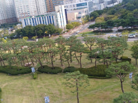 광주시, 청사 앞  잔디광장 결혼식 허용할 듯