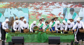 보성유산마을영농조합법인 | 보성군, 3일간 열린 '국가중요농어업유산축제' 성황리에 마쳐