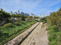 순천 신대지구, 신대천 2㏊ 도시숲 조성된다