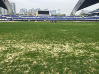 광주시, 광주월드컵경기장 잔디 문제 해결 총력전