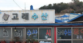 [4]전남 신안 흑산도 고래정원과 면암 최익현 적려비…일제 대형고래 싹쓸이[광주전남 독립운동현장]