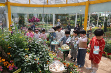 함평나비대축제