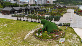 순천만가든마켓&에코와일드 알파카 보러 오세요