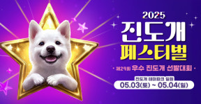 진도군, 진도개 페스티벌·우수견 선발대회 개최