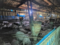 나주 세지면, 돈사 악취 해결 길 열렸다