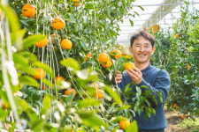 [사람&스토리] 고재규 꿈에그린농장 대표 과일로 힐링 전하고파