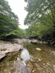 [11] 산마을학교제비골 어린이 배움터…지리산 피아골 연곡분교 [문화발원지 남도학교 기행]