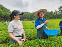 [사람들&스토리]보성 보림제다 서희주 대표 대를 이어 대한민국 식품 명인에 도전