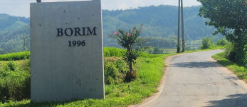 보성 보림제다 농업회사, 日 세계녹차콘테스트 2025 금상 수상 영예