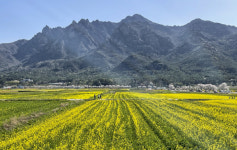 [앵+글로 본 남도 세상 21] 달 뜨는 산 전남 영암 월출산