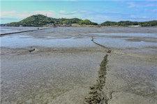 [25] 신안군 증도면 병풍리, 바다 위에 펼쳐진 순례의 시간 [앵+글로 본 남도세상]