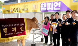 전남 으뜸한우, 보성 조정화 농가 종합챔피언