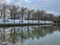 [28] 렌즈에 담은 담양 (1-상) 400년 숲이 건네는 위로 관방제림 4계 [앵+글로 본 남도 세상]