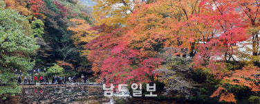 오색단풍 물든 백양사
