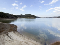 [38] 사계절 품은 생태 쉼터, 광주호 호수생태원을 걷다(하) [앵+글로 본 남도 세상]