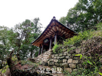 [1] 기록 유산 품은 명촌 화순 도장마을 [남도 종가, 시대를 넘다]