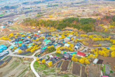 [44] 지리산이 빚은 황금빛 유산, 구례 산수유 마을 [앵+글로 본 남도세상]