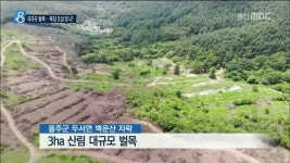 산림 3ha 벌목 / 목장 조성 맞나?