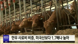 (R)한우 사육 기간 단축, 마리당 23만원 절감