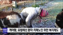 <안동>농촌 치유농장, 경북도 시동