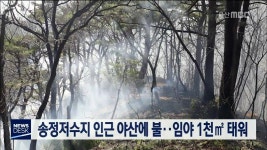 송정저수지 인근 야산에 불..임야 1천㎡ 태워