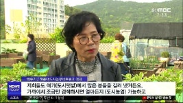  도시농업 인기..부산 17만명
