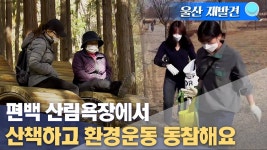 [울산 재발견] 편백 산림욕장에서 산책하고, 환경운동 동참해요