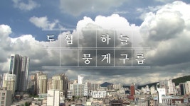 뭉게구름머리방 | 도심 하늘 위 '뭉게구름' [영상스케치]