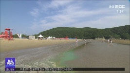[부산] 다대포 바다에서 신경 독소 국내 첫 검출