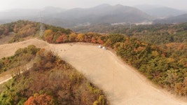 입화산 다운목장에 대규모 야생화 단지 조성