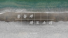 몽돌이 들려주는 파도소리 [영상스케치]